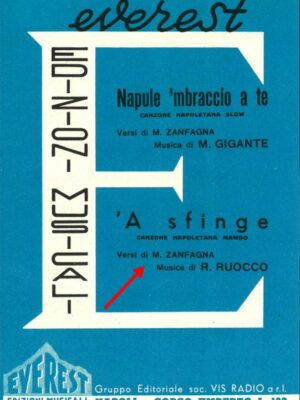 'a sfinge_r. ruocco_everest