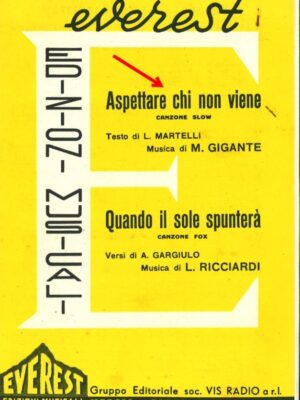 aspettare chi non viene_m. gigante_everest